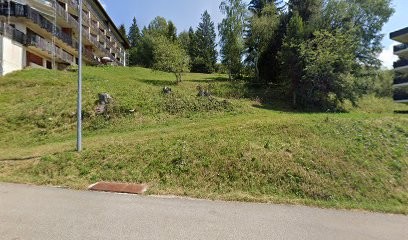 Go Sport Montagne, Magasin d'Articles de Sports à Allevard