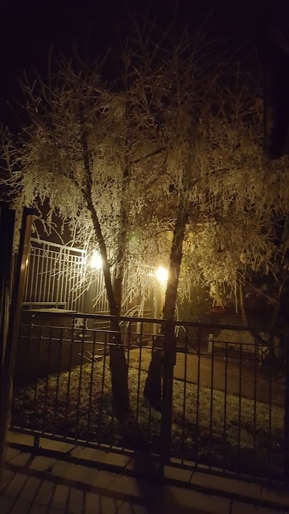 L Atelier de la Roue, Magasin d'Articles de Sports à Harskirchen
