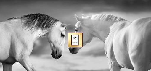 Sellerie SASKIA' PAD Equestrian, Magasin d'Articles de Sports à Rosiers-d'Égletons